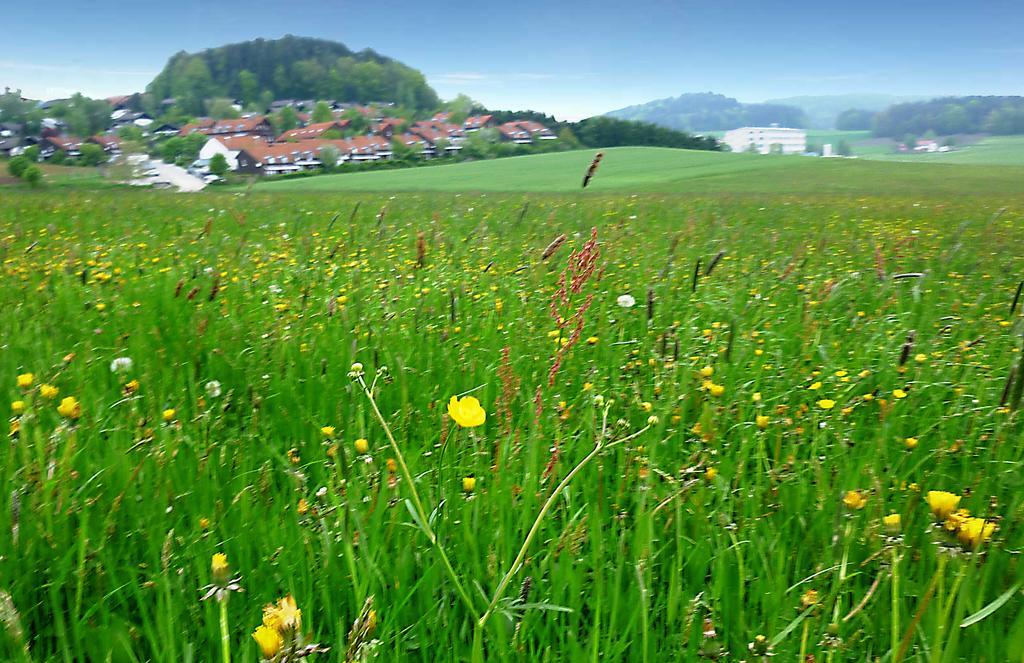 Ferienwohnung Gerda Zandt Bagian luar foto